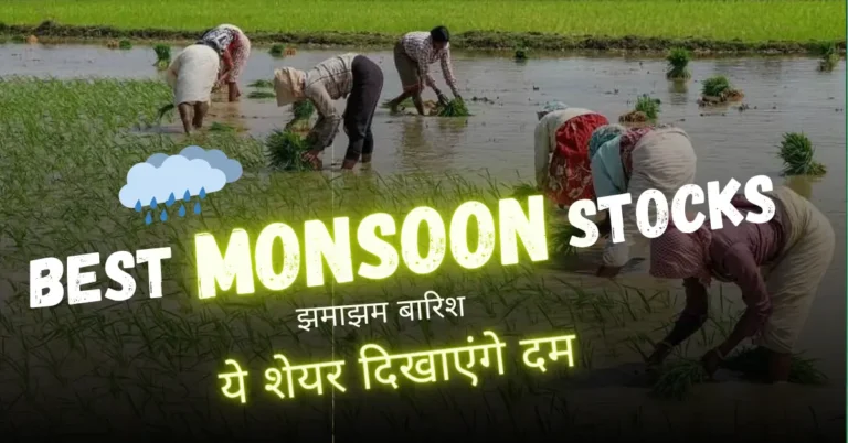 Best Monsoon Stocks in India